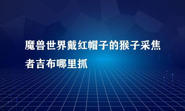 魔兽世界戴红帽子的猴子采焦者吉布哪里抓