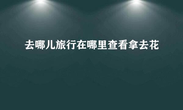 去哪儿旅行在哪里查看拿去花
