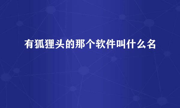 有狐狸头的那个软件叫什么名