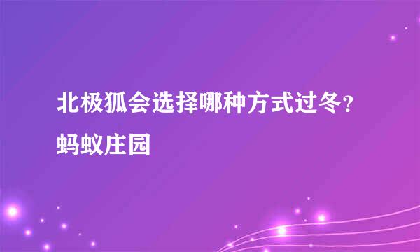 北极狐会选择哪种方式过冬?蚂蚁庄园