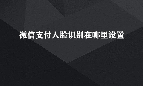微信支付人脸识别在哪里设置