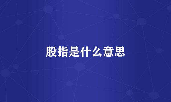 股指是什么意思