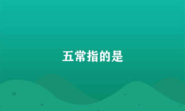 五常指的是