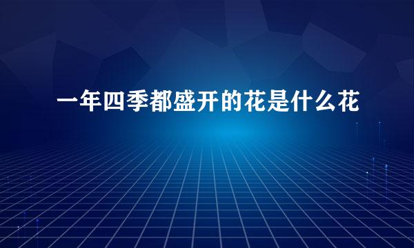 一年四季都盛开的花是什么花