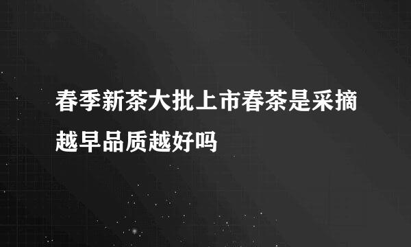 春季新茶大批上市春茶是采摘越早品质越好吗