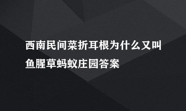 西南民间菜折耳根为什么又叫鱼腥草蚂蚁庄园答案