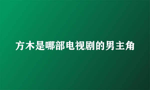 方木是哪部电视剧的男主角