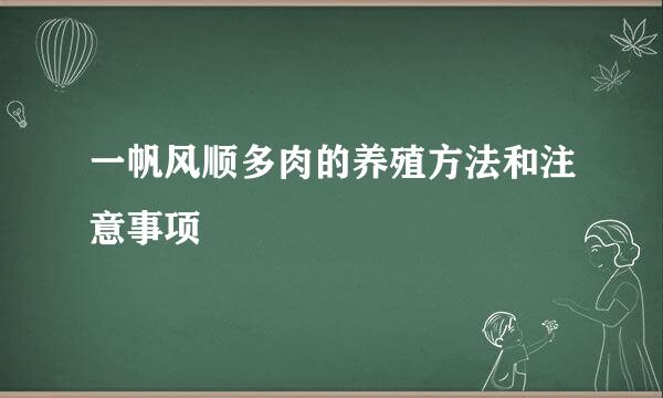 一帆风顺多肉的养殖方法和注意事项
