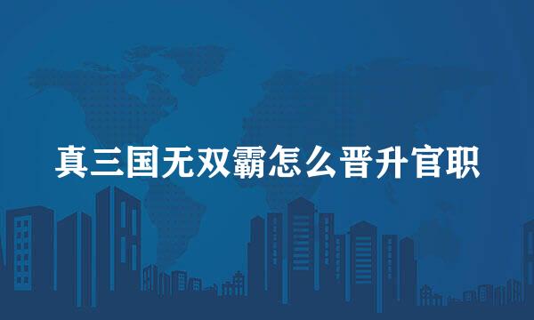 真三国无双霸怎么晋升官职