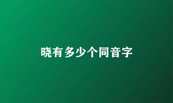 晓有多少个同音字