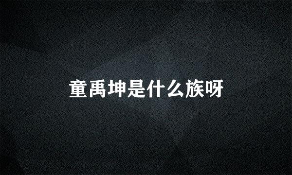 童禹坤是什么族呀