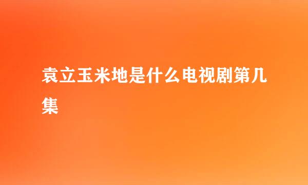 袁立玉米地是什么电视剧第几集