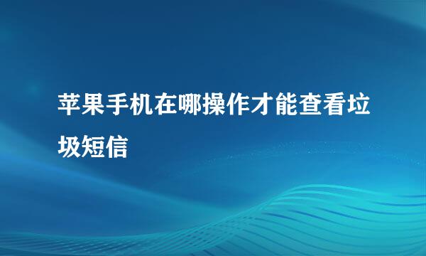 苹果手机在哪操作才能查看垃圾短信