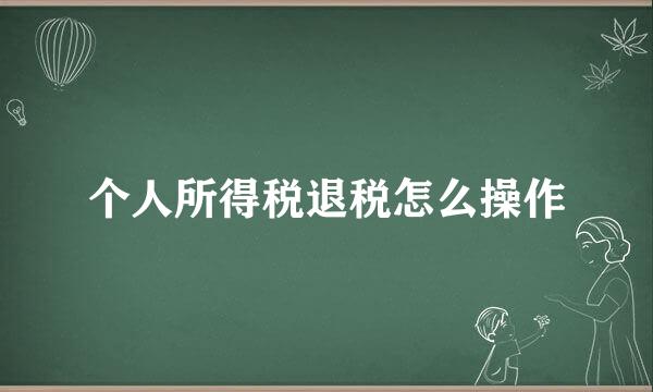 个人所得税退税怎么操作