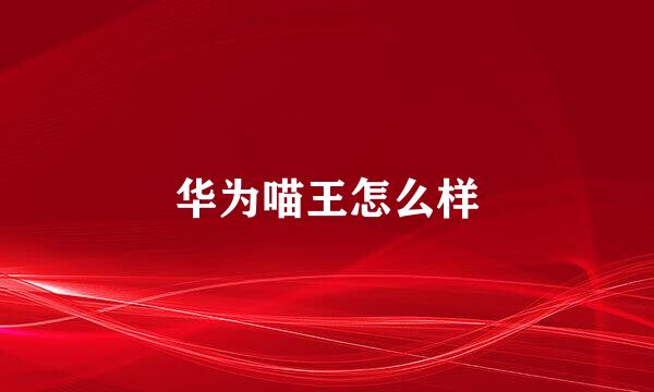 华为喵王怎么样