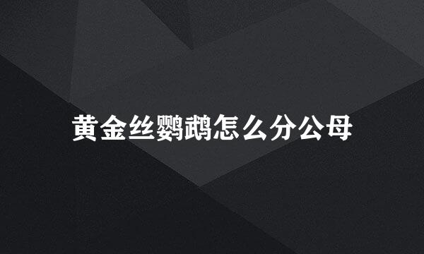 黄金丝鹦鹉怎么分公母