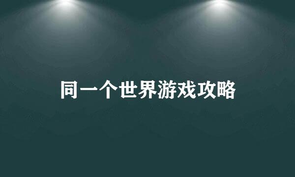 同一个世界游戏攻略
