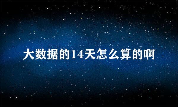 大数据的14天怎么算的啊