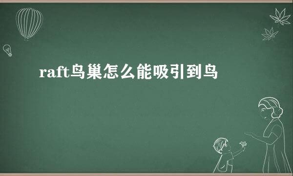 raft鸟巢怎么能吸引到鸟
