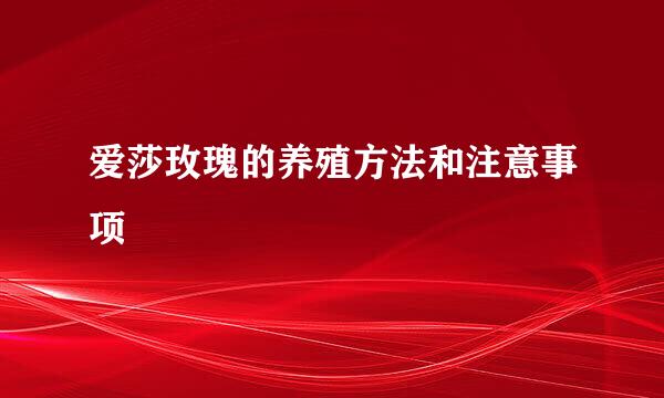爱莎玫瑰的养殖方法和注意事项