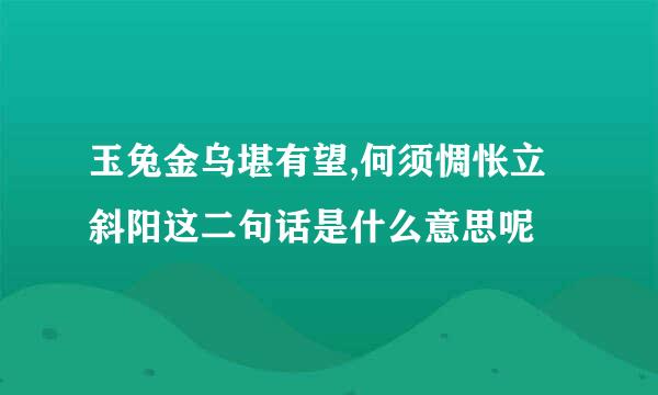 玉兔金乌堪有望,何须惆怅立斜阳这二句话是什么意思呢
