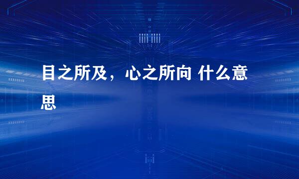 目之所及，心之所向 什么意思