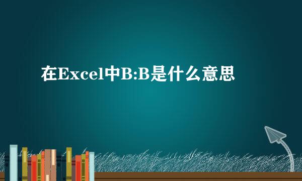 在Excel中B:B是什么意思