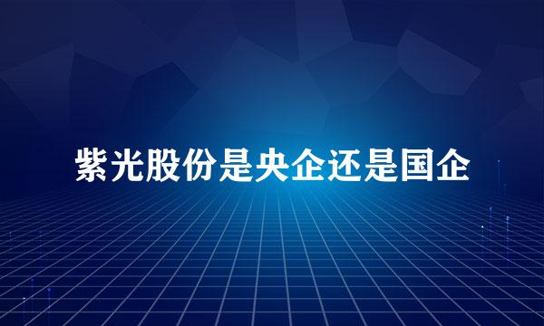 紫光股份是央企还是国企