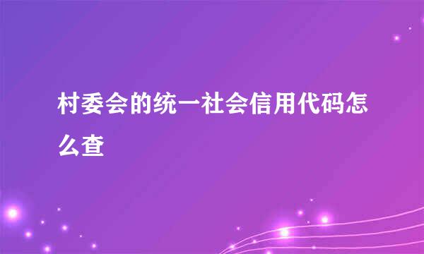 村委会的统一社会信用代码怎么查