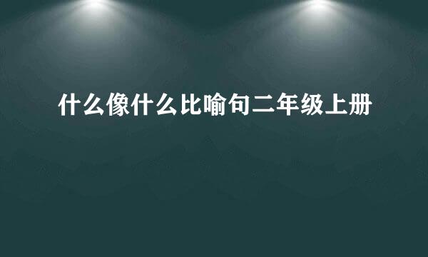 什么像什么比喻句二年级上册