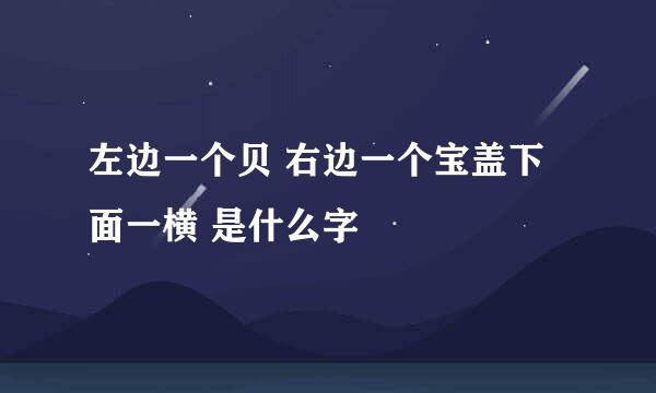 左边一个贝 右边一个宝盖下面一横 是什么字