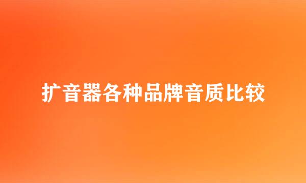 扩音器各种品牌音质比较