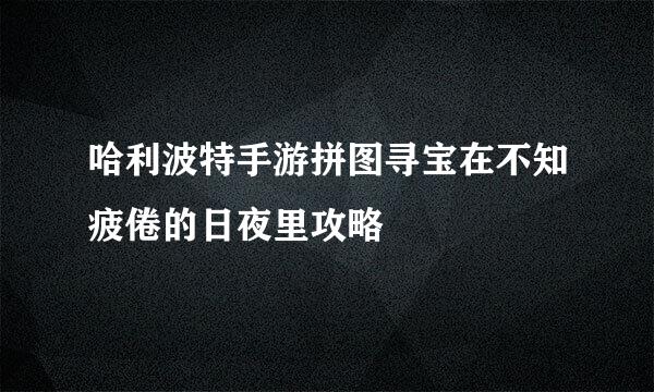 哈利波特手游拼图寻宝在不知疲倦的日夜里攻略
