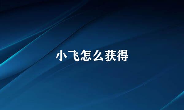 小飞怎么获得