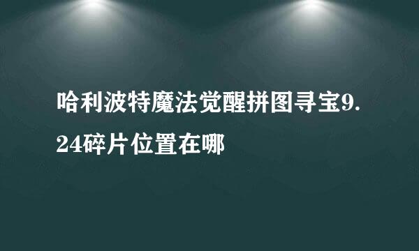 哈利波特魔法觉醒拼图寻宝9.24碎片位置在哪