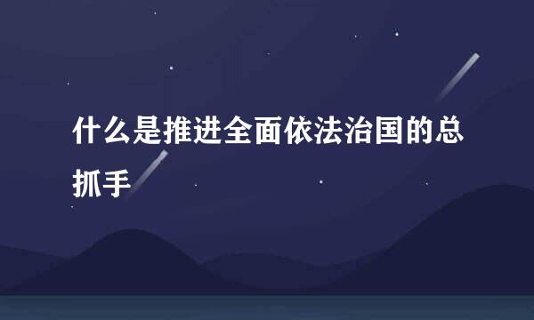什么是推进全面依法治国的总抓手