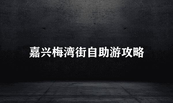 嘉兴梅湾街自助游攻略
