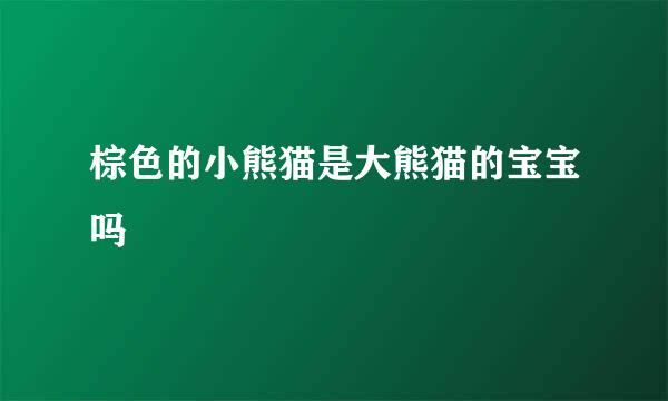 棕色的小熊猫是大熊猫的宝宝吗