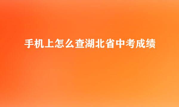 手机上怎么查湖北省中考成绩