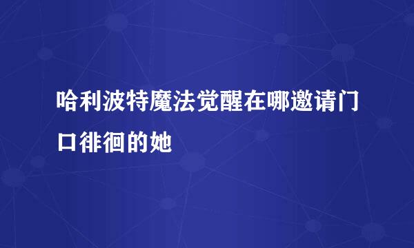哈利波特魔法觉醒在哪邀请门口徘徊的她
