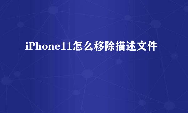 iPhone11怎么移除描述文件