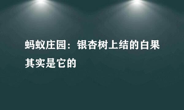蚂蚁庄园:银杏树上结的白果其实是它的