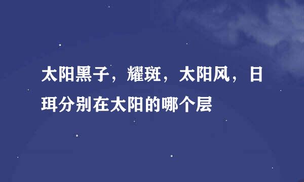 太阳黑子，耀斑，太阳风，日珥分别在太阳的哪个层