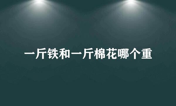 一斤铁和一斤棉花哪个重