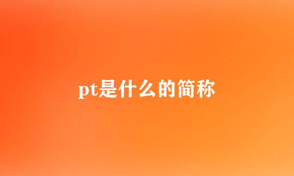 pt是什么的简称