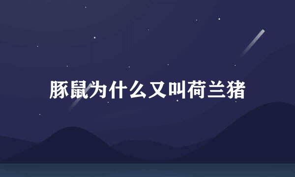 豚鼠为什么又叫荷兰猪