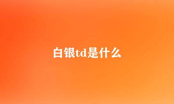 白银td是什么