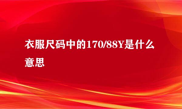 衣服尺码中的170/88Y是什么意思