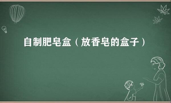 自制肥皂盒(放香皂的盒子)