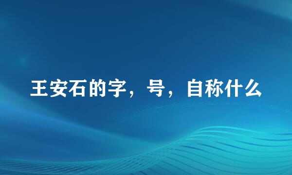 王安石的字,号,自称什么